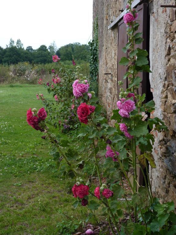 Chambres D'Hotes Le Chateau Rouge Saint-Germain-sur-Moine Esterno foto